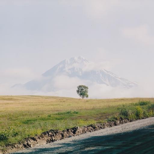 Kamchatka cover